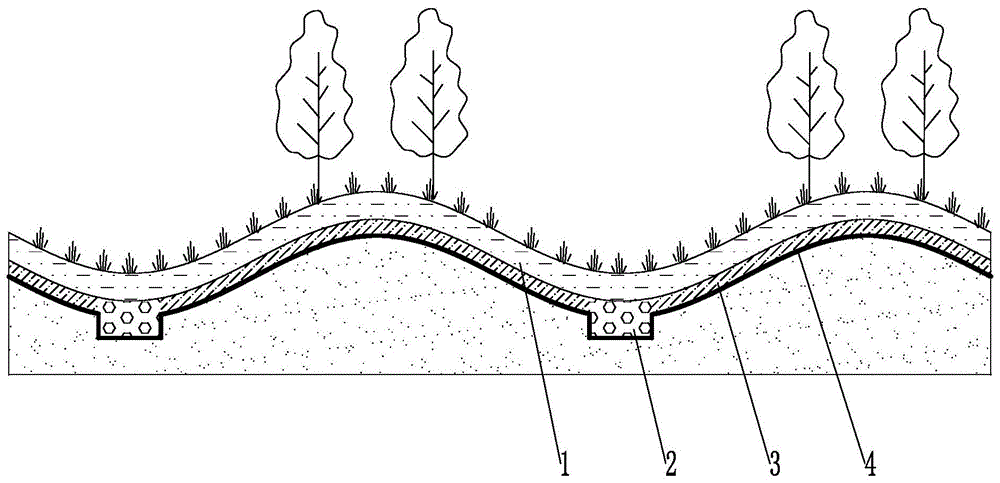 一种构建节水型园林植物群落的方法与流程