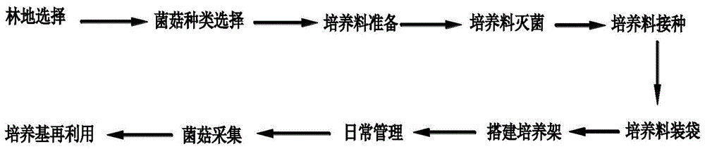 一种农林组合种植菌菇的方法与流程