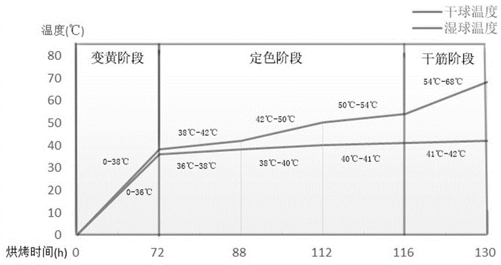 烤烟烘烤推广采用的设施是密集式烤房和配套的三段式烘烤工艺,该技术