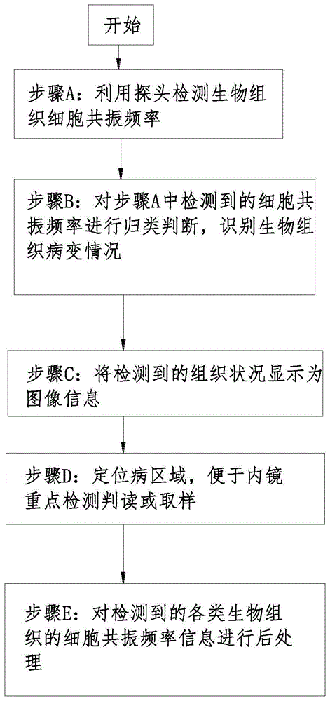 一种基于细胞共振的研究检测方法与流程