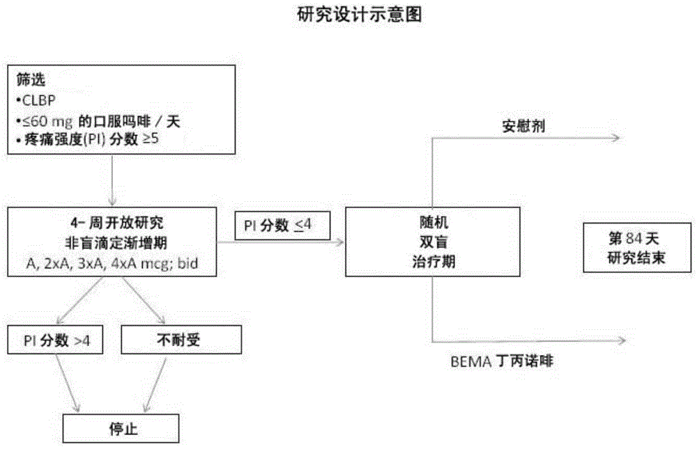 用于慢性疼痛缓解的跨粘膜药物传递装置的制作方法