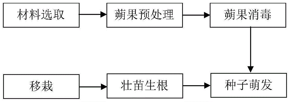 一种血叶兰组培繁殖方法与流程