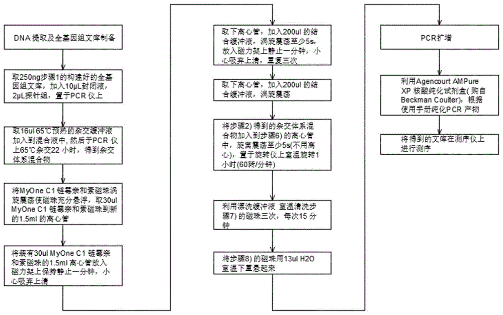 一种用于他汀类药物个体化基因检测的探针组及试剂盒的制作方法