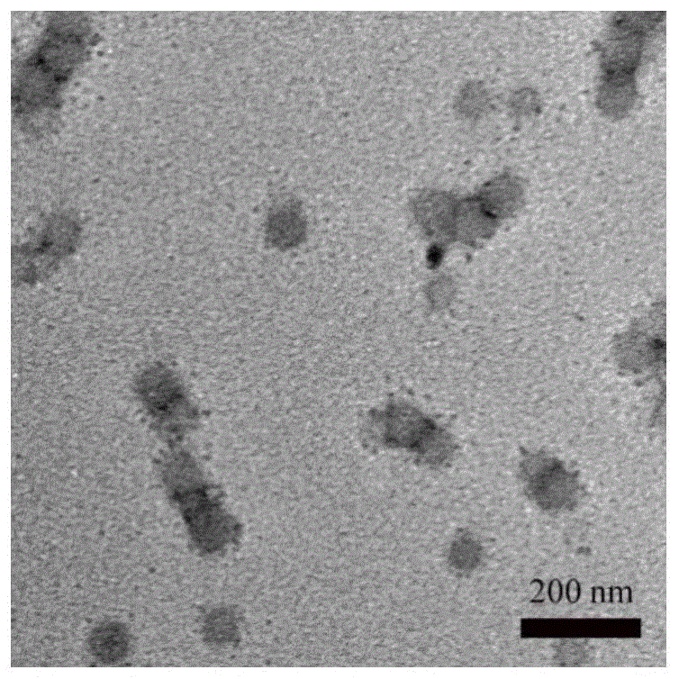一种氨基和多肽修饰的AIE聚合物纳米粒子的制备方法与流程
