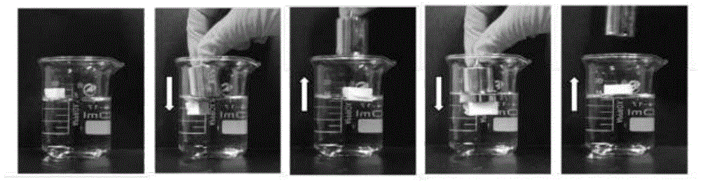 一种疏水吸油型纤维素基气凝胶的制备方法与流程