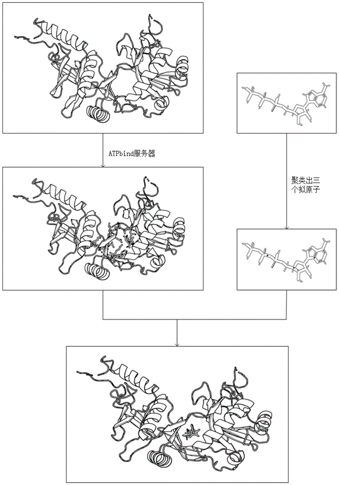 一种基于差分进化的蛋白质ATP对接方法与流程