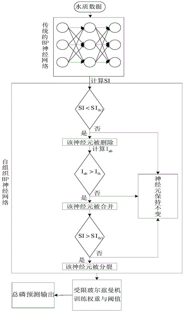 一种基于受限玻尔兹曼机的自组织BP神经网络出水总磷预测方法与流程