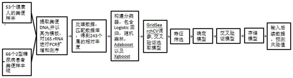 一种II型糖尿病微生物标志物及其应用的制作方法