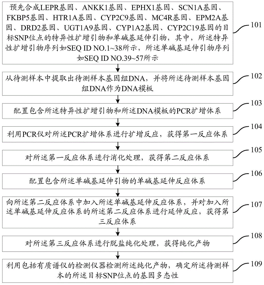 一种个体化用药相关基因多态性的检测方法与流程