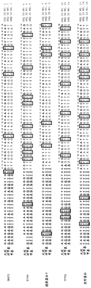 DNA甲基化的数字序列分析的制作方法