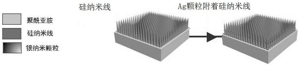 一种在硅纳米线阵列上形成Ag颗粒的方法与流程
