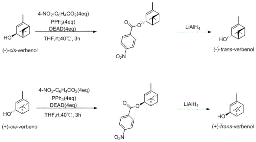 合成（-）-反式马鞭草烯醇及其对映体（+）-反式马鞭草烯醇的绿色、简易制备方法与流程
