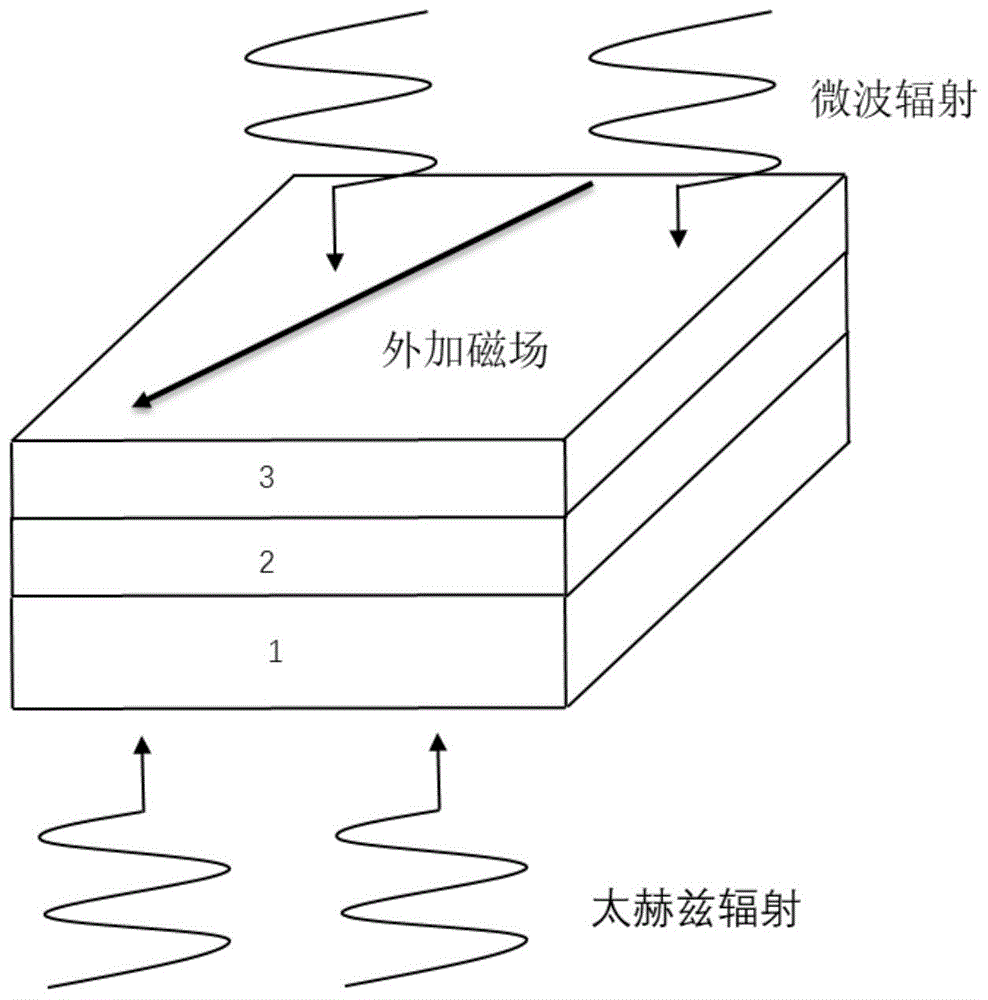 一种基于反铁磁自旋轨道扭矩的太赫兹探测器的制作方法