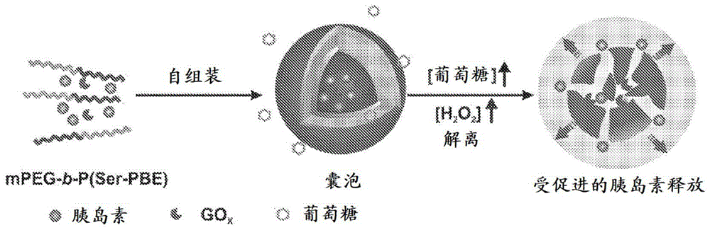 H2O2响应性纳米粒子及其用途的制作方法