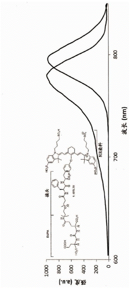 PSMA靶向的NIR染料及其用途的制作方法