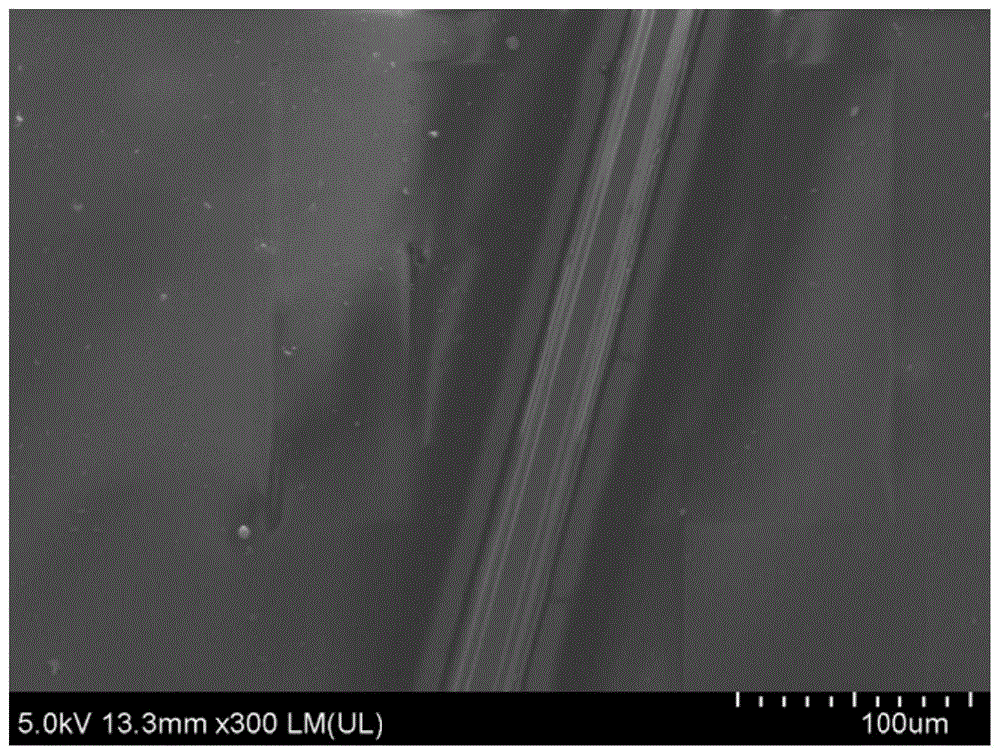 一种基于N-ZnO/N-GaN/N-ZnO异质结的双向紫外发光二极管及制备方法与流程
