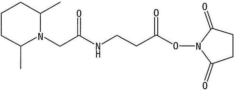 反应性质量标记物的集合的制作方法