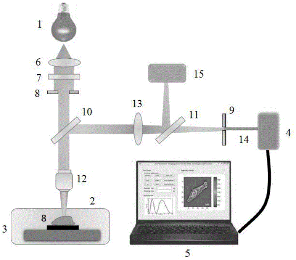 高光谱干涉非标记成像方法及活细胞定量断层成像系统与流程