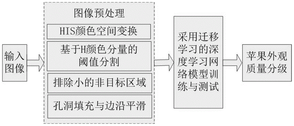 基于深度学习的苹果外观质量分级方法与流程