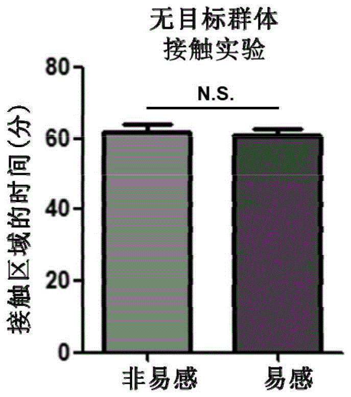 一种miRNA在制备抗抑郁药物中的应用的制作方法