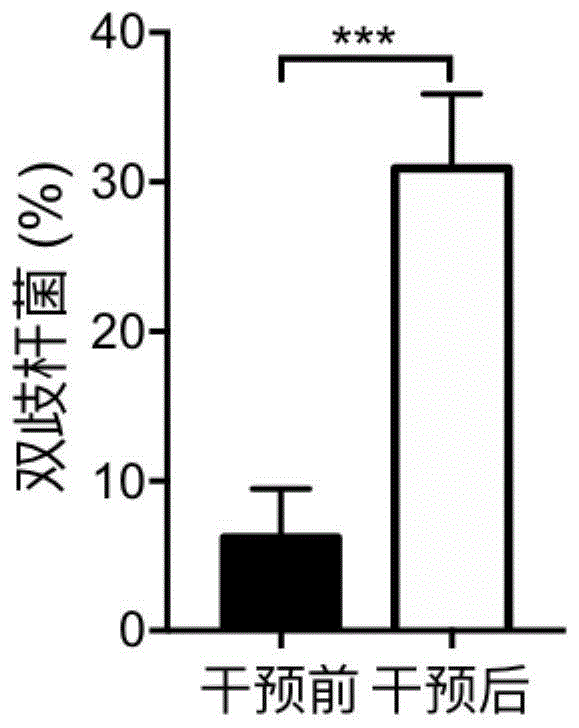 可调节肠道菌群结构的营养组合物及其制备方法、用途与流程