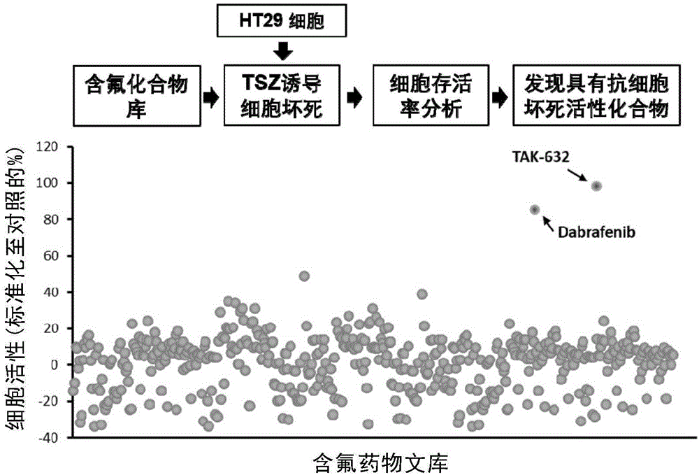 细胞坏死抑制剂TAK-632及其作为药物的用途的制作方法