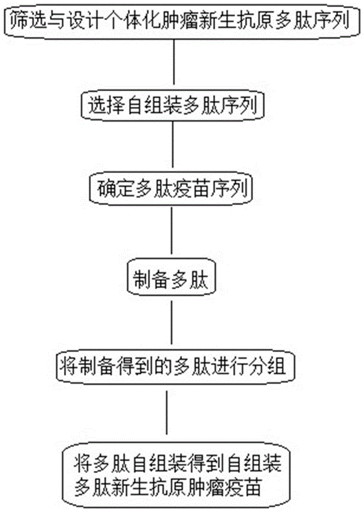 自组装多肽新生抗原肿瘤疫苗及其制备方法与流程