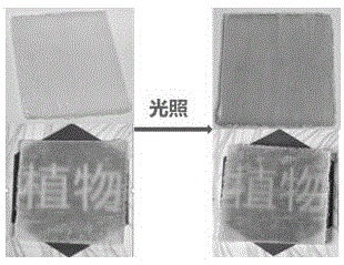 一种光致变色透明木材的制备方法与流程