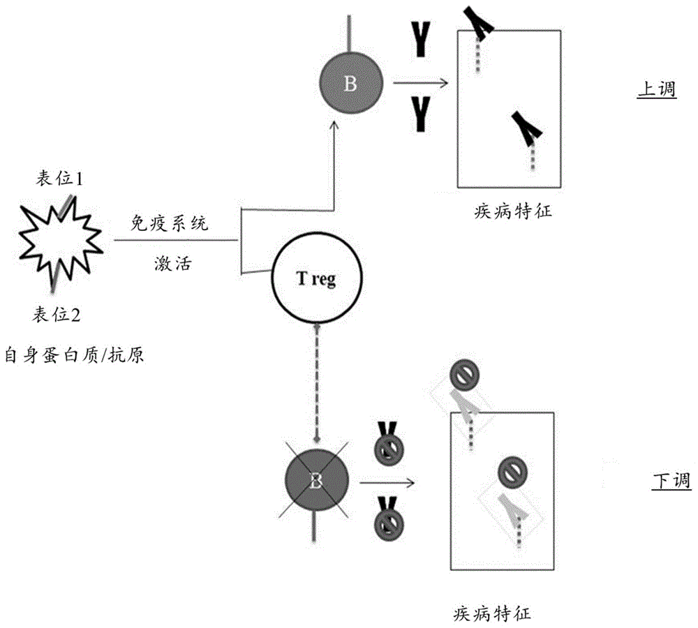 发现治疗靶标的方法与流程