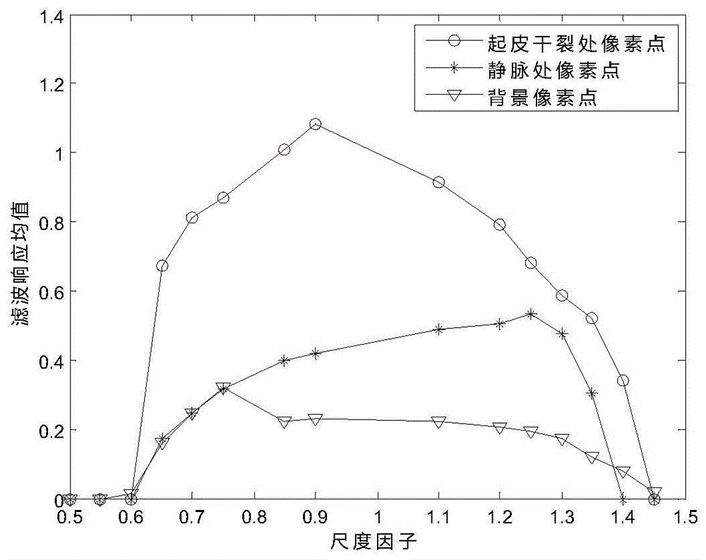 一种基于皮裂纹分割的NLM滤波指静脉去噪方法与流程