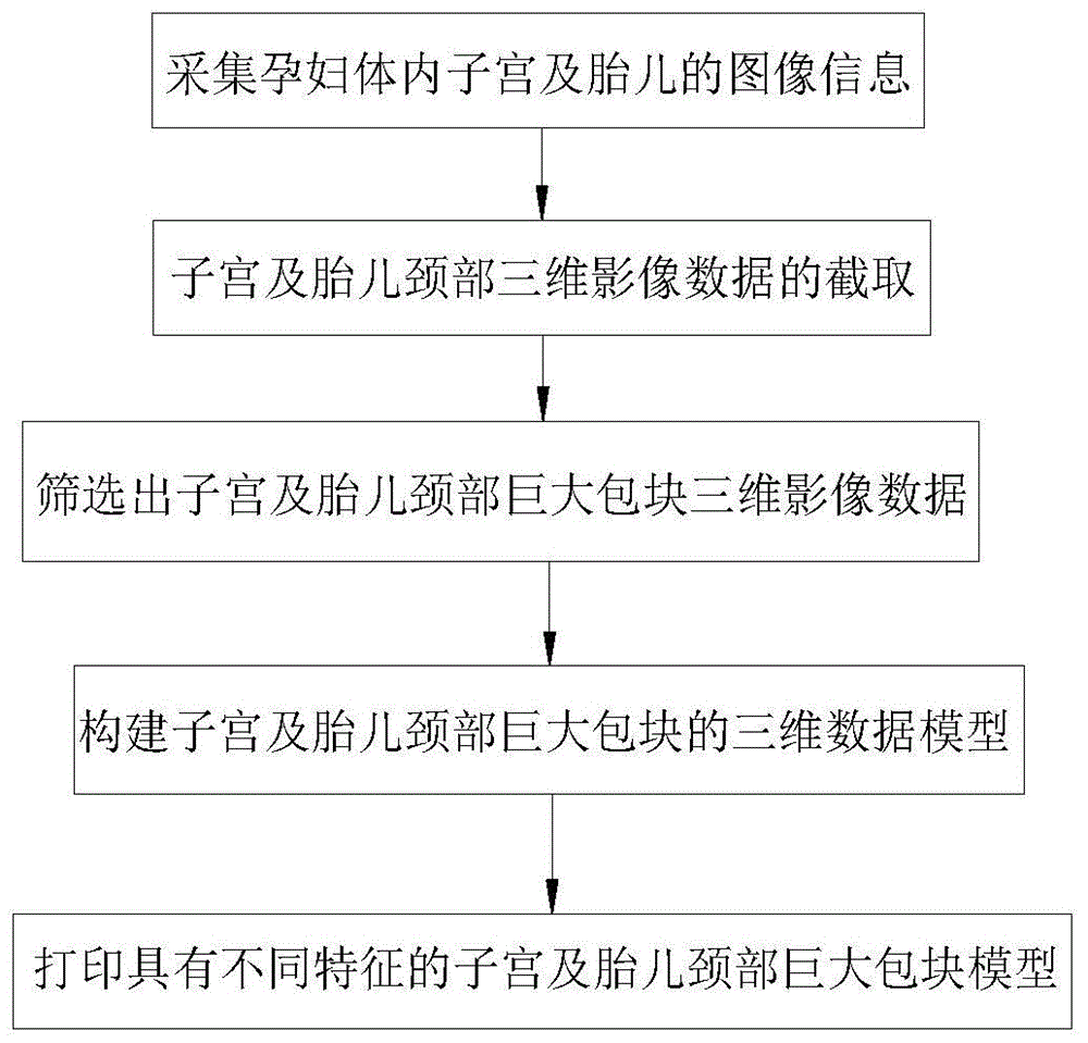 一种构建子宫及胎儿颈部巨大包块模型的方法与流程