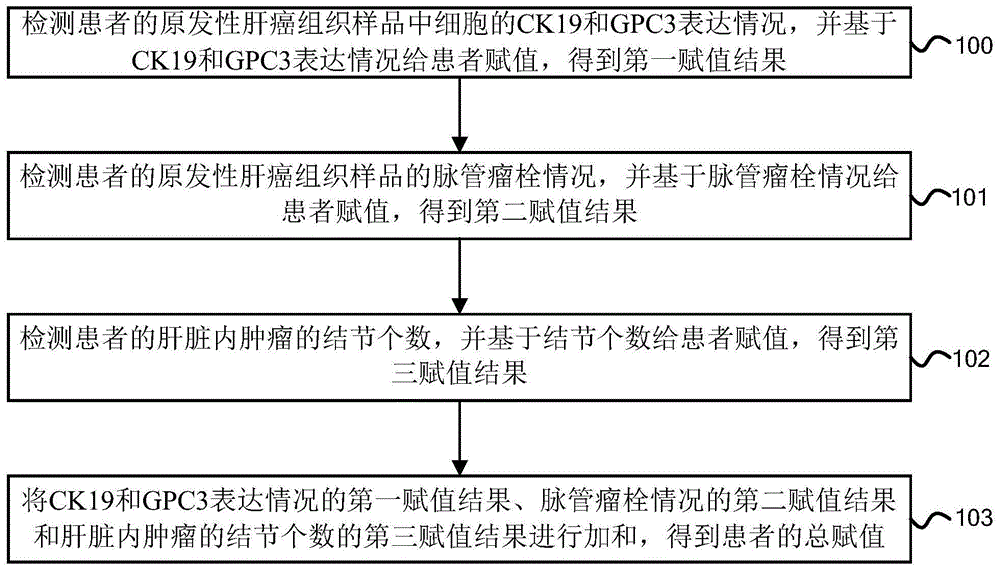 原发性肝癌根治切除术的预后情况分组方法、装置和系统与流程