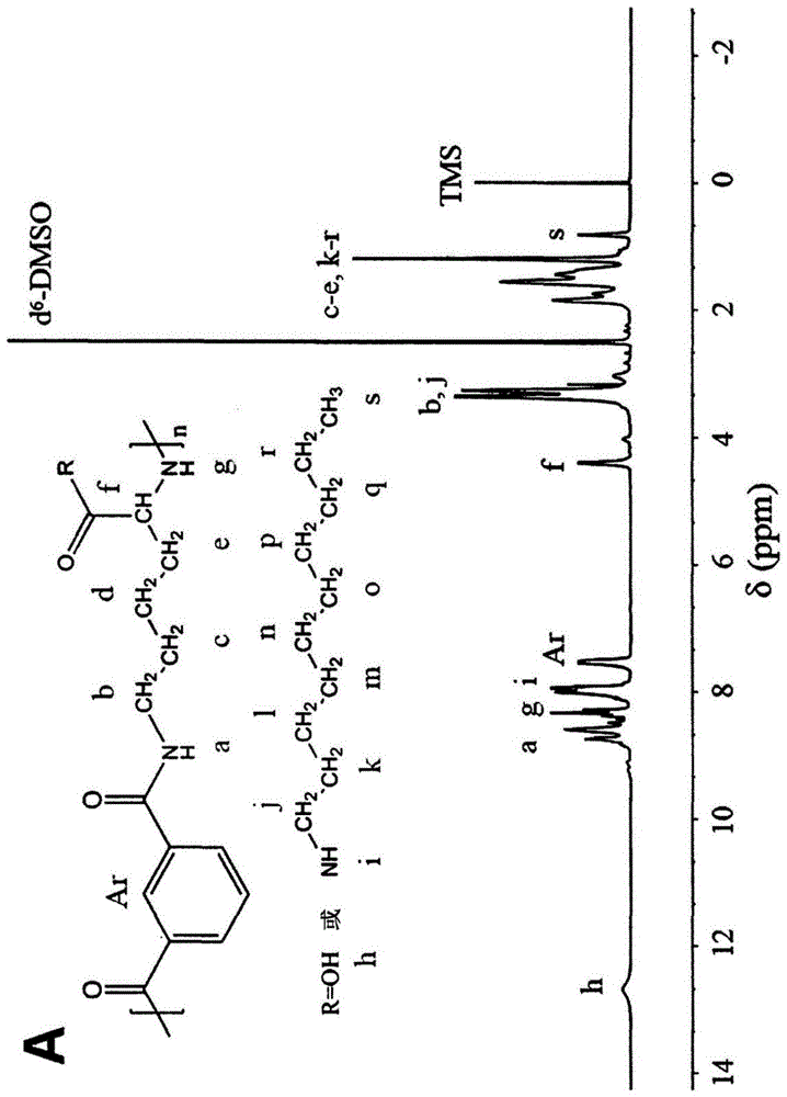 具有疏水侧链的聚(赖氨酸间苯二甲酰胺)(PLP)聚合物的制作方法