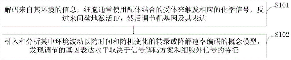 用于基因调控中及控制基因表达水平的噪声信号解码方法与流程