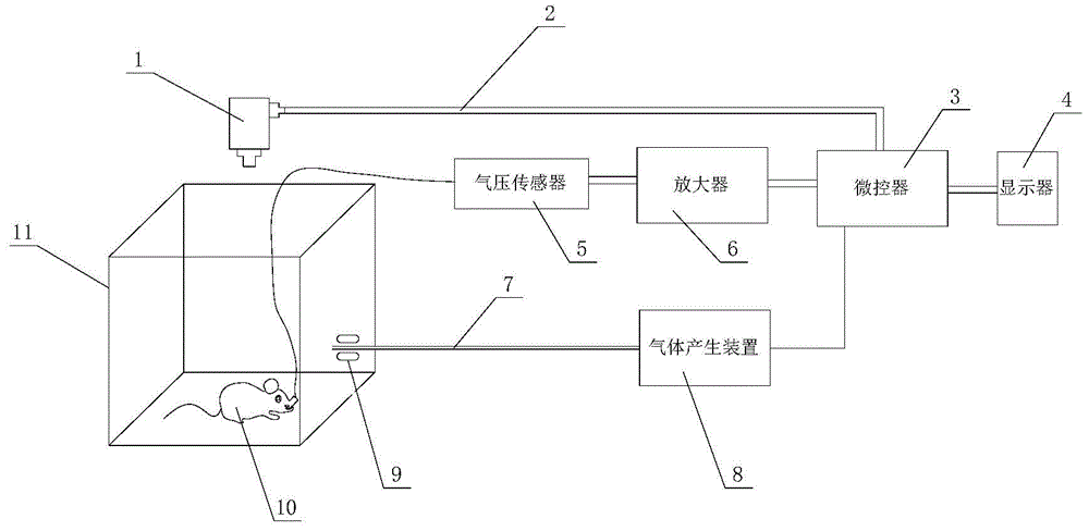 一种记录清醒小鼠呼吸运动和习惯化与去习惯化装置的制作方法