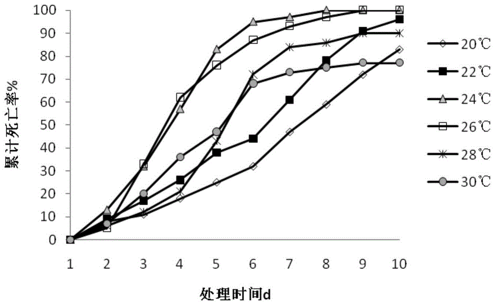 淡色生赤壳菌的新用途及防治媒介蚊虫的方法与流程