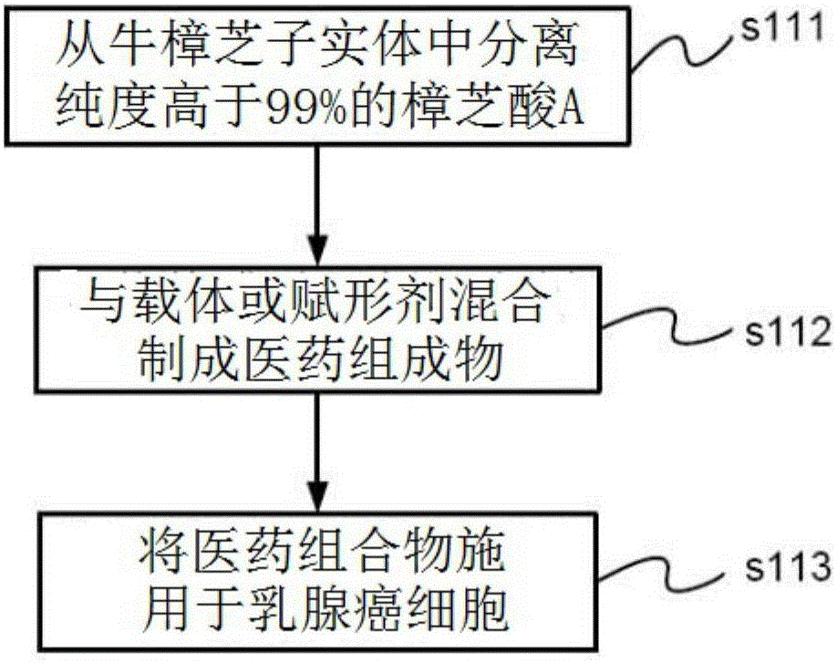 糖皮质激素受体促进剂樟芝酸A在抑制乳腺癌肿瘤发生与转移中的应用的制作方法