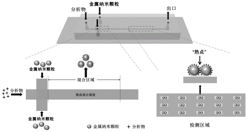 一种三明治结构的纳米颗粒二聚体及多聚体的制备方法与流程