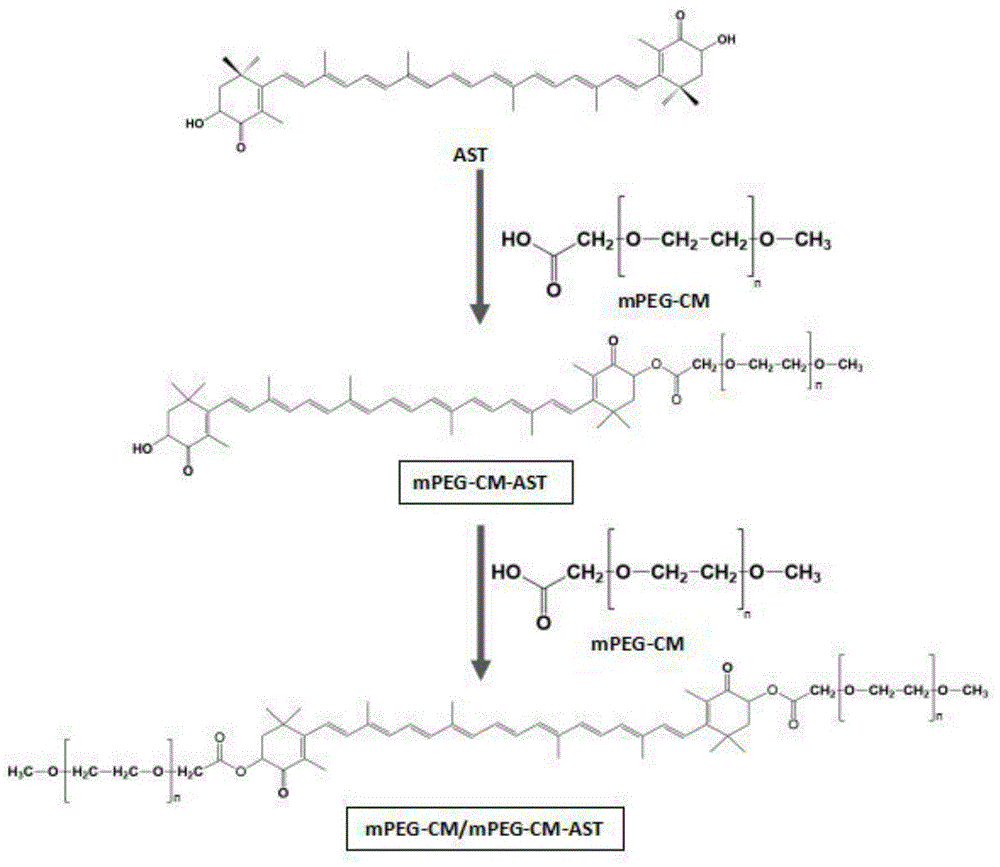 甲氧基聚乙二醇乙酸虾青素酯及其制备方法与流程