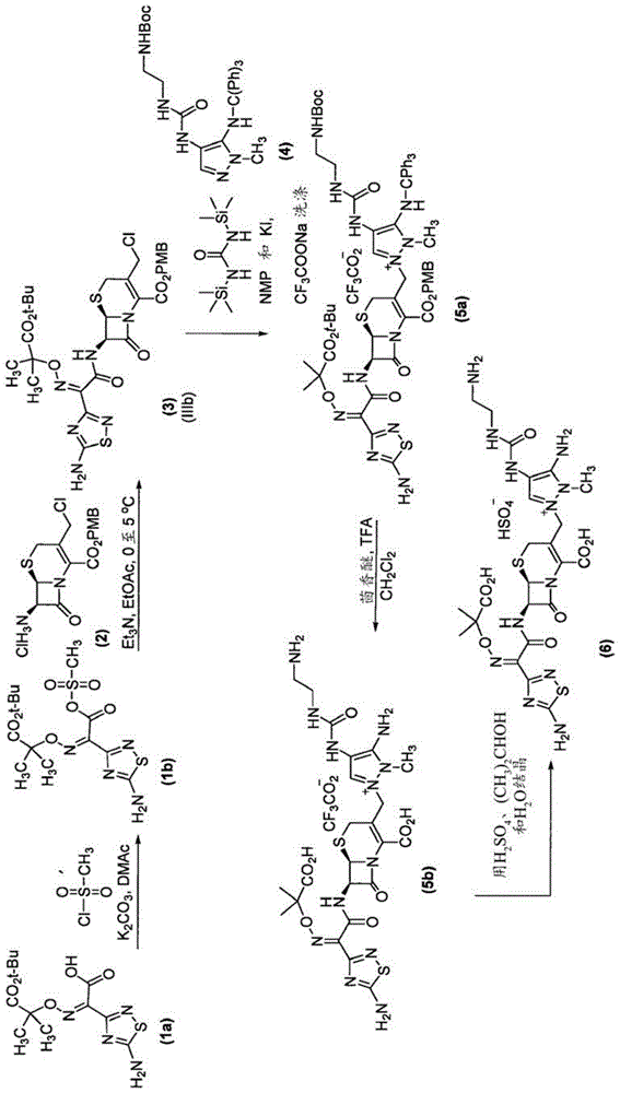 头孢菌素化合物的合成的制作方法