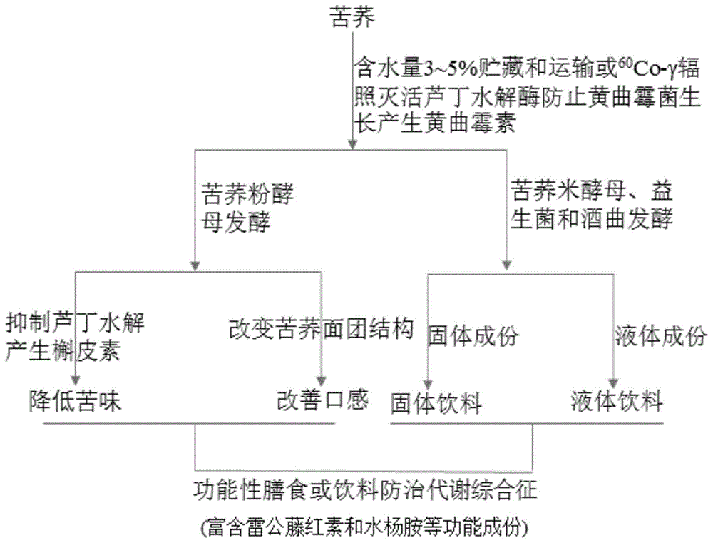 用于防治代谢综合征的苦荞发酵物、包含该发酵物的食品或饮料及制备方法与流程