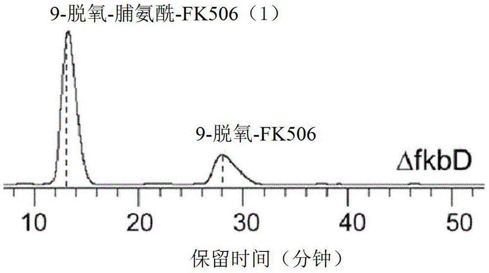 无免疫抑制活性的维持神经再生活性的FK506衍生物及其用途的制作方法