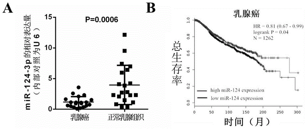 miR-124-3p与其类似物在制备抗乳腺癌疾病药物中的应用的制作方法