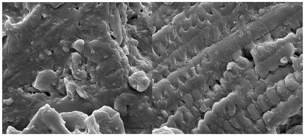 β-环糊精改性橘皮对镉污染碱性土壤的修复方法与流程