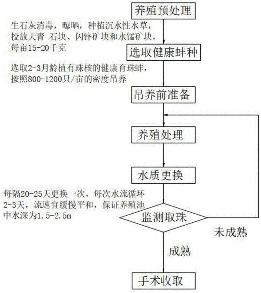 一种高产育珠蚌种的淡水养殖方法与流程