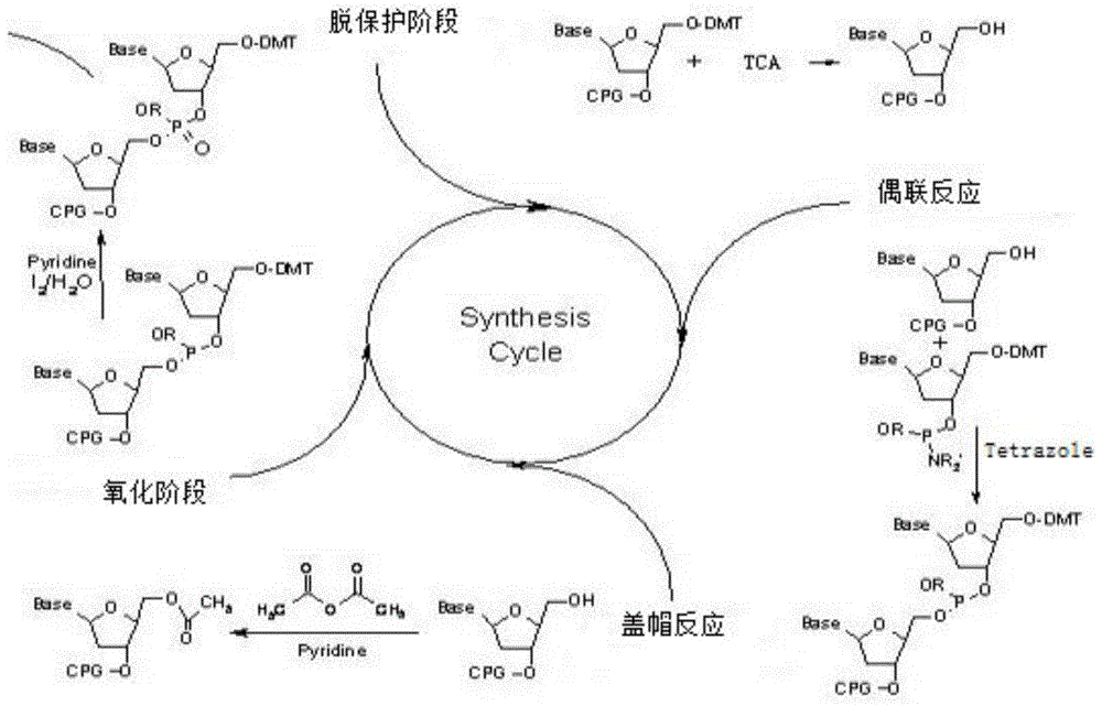 一种新型分离寡核苷酸的色谱方法与流程