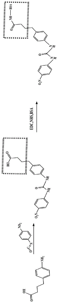 4,4’-二硝基苯脲半抗原和人工抗原及其制备方法与应用与流程