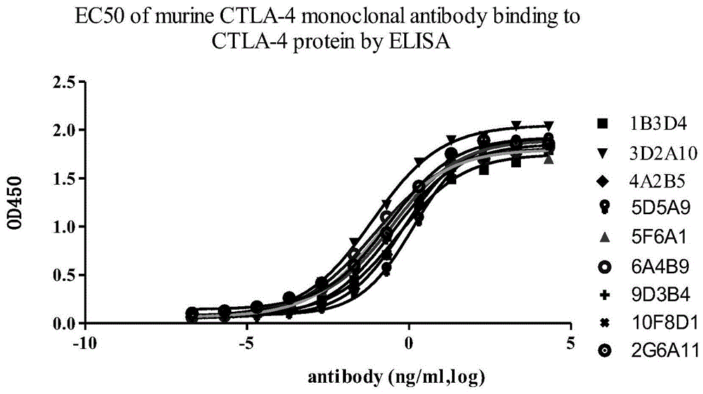 一组CTLA-4单克隆抗体及其医药用途的制作方法