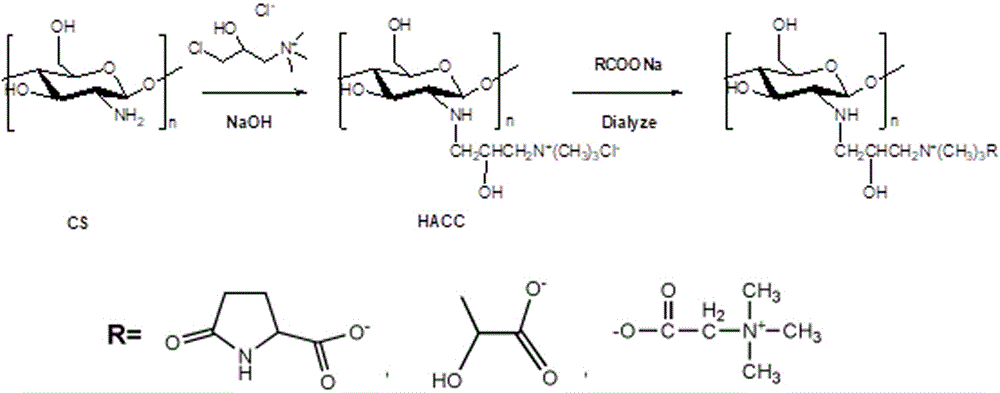 一种阴离子化2-羟丙基三甲基氯化铵壳聚糖及制备方法和应用与流程