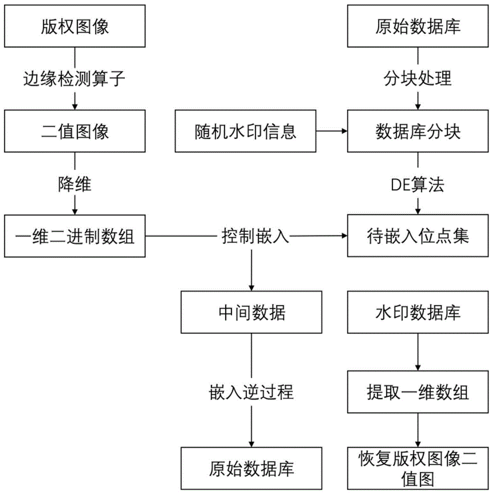 基于差分进化算法的可逆关系数据库水印嵌入和提取方法与流程